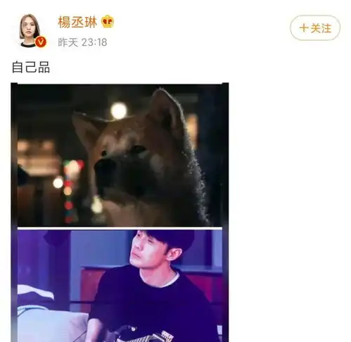 关晓彤都特别好只有我不够好,杨丞琳晒李荣浩与柴犬对比图