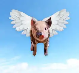 超过100张关于猪蹄和动物的免费图片