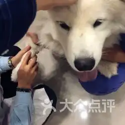 宠颐生协合宠物医院仁爱动物北新街店
