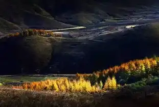 山西最美红叶分布图,快和家人去看看吧
