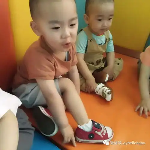 呆萌呆萌的圆圆宝宝