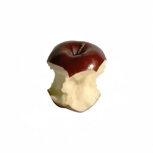 谁懂啊这种白底食物头像