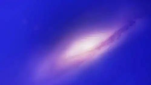 惯子如杀子给孩子最好的宠爱,是教会他做人
