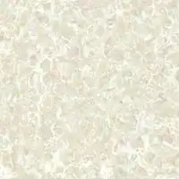 普拉泰斯