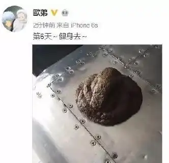 太狗血欧弟堪比男版张馨予