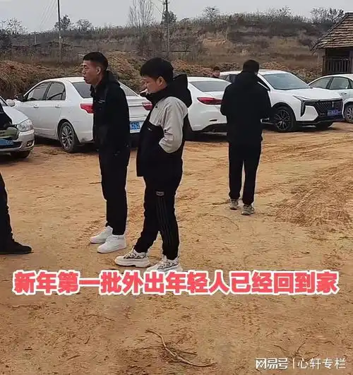 陕西一农村外出打工年轻人,都开小车回家过年,网友父愁者联盟