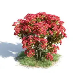 现代花草植物3d模型
