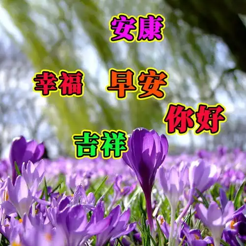 阳光心态的正能量早安问候语,简单快乐的早上好祝福唯美句子