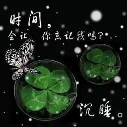 谁有好看一点四叶草的图片适合做头像的