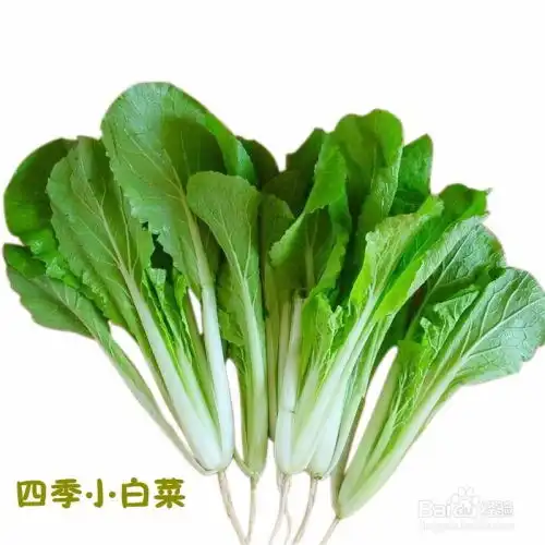 淫羊藿吃上火了怎么办