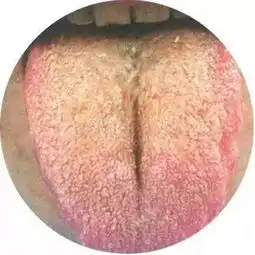 测试一个超长简介的文章