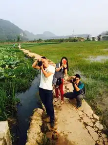 荷花盛开的季节普者黑