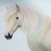 适合做头像的图片马好看的真马图片头像