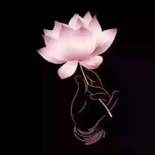 禅诗i禅乐i静心i疗愈i助眠