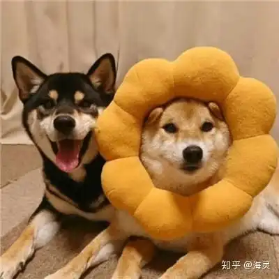爱情挽回中,异地恋可以做哪些有意义的事