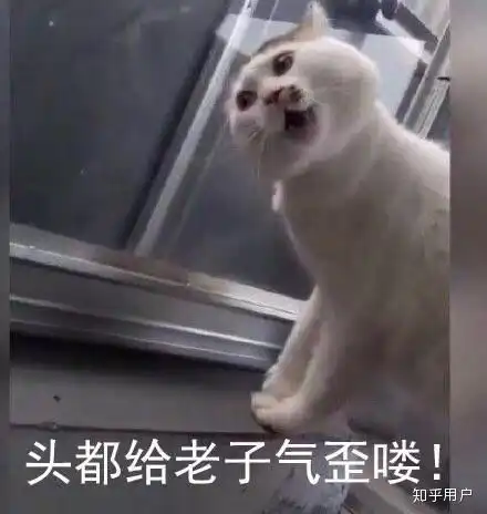你们在大学遇到过最恶心的室友是哪种