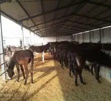 黄页88高清图片