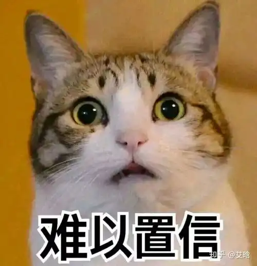 抖音和快手的具体区别在哪里