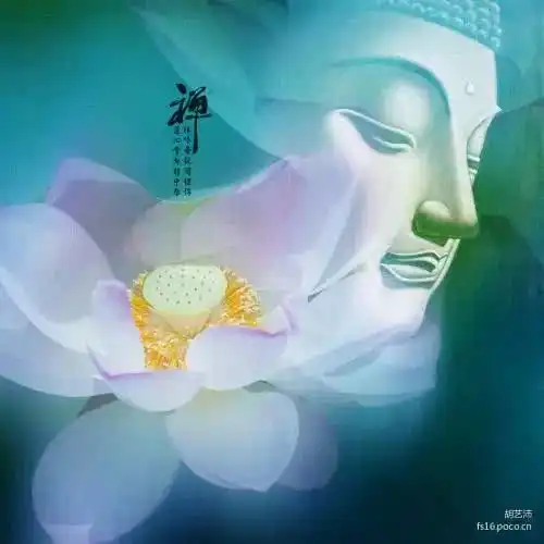 为公中国,这八大问题,揭秘佛教终极真相