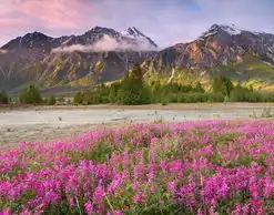 唯美高清的美景图