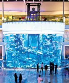 撒哈拉的海市蜃楼和水族馆电梯,邂逅与视觉的震撼