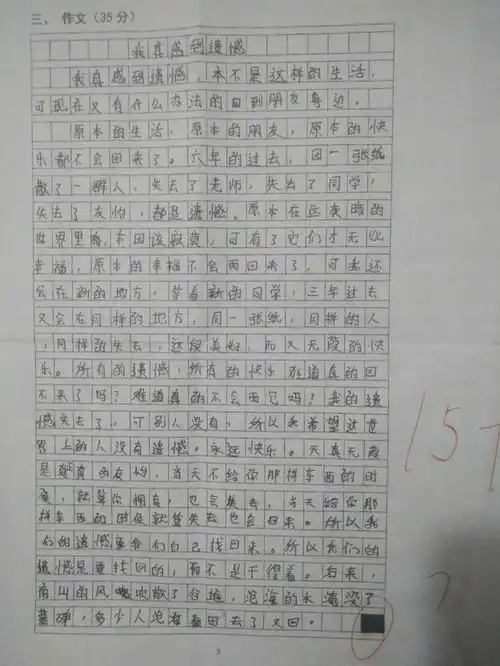 几家欢乐几家愁2篇小学生作文一高分一低分,一印刷体一丑书体