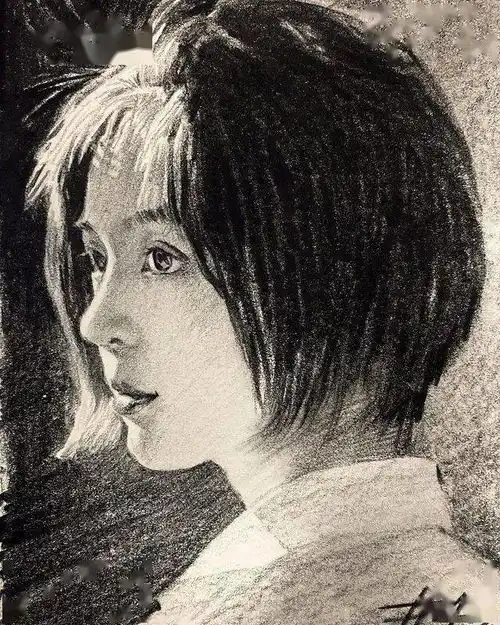 用木炭条画素描,笔触大刀阔斧,调子666,画完它们,秒过艺考瓶颈期古风作品art