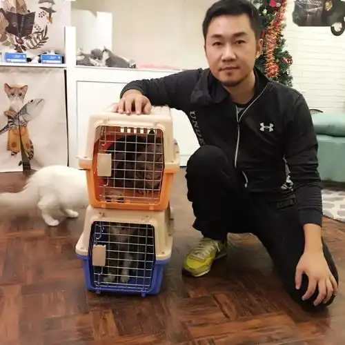 一单赚上万,跑丢的猫狗养活了一个职业