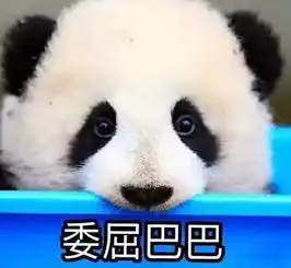 b站电视剧专栏下架了这个暑假还能怎么过
