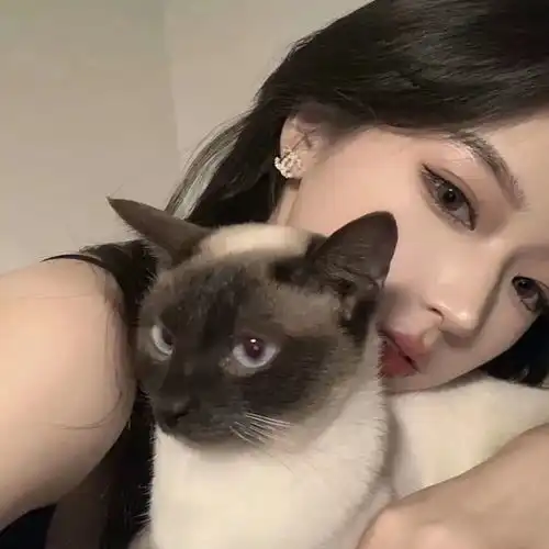 两百七十二期