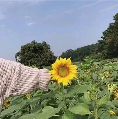 冷战中的男孩们有这些表现,表明非常爱你,并希望欣赏它