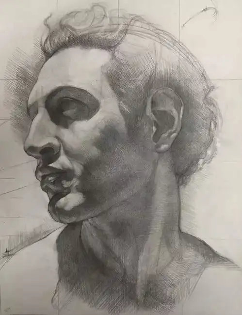 素描人物结构透视关系小技巧罗列,速看
