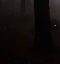 ps合成幽暗森林中的恐怖房屋图片的方法与步骤3