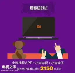 2015小米电视大数据互联网节目受年轻人欢迎