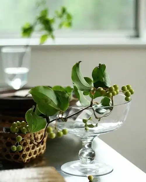 世上最幸福的工作,莫过于和花相伴