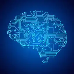 认知漫步2知识是什么