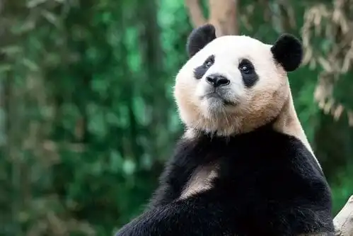 测试一个超长简介的文章