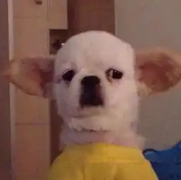不断的得到也不断的失去