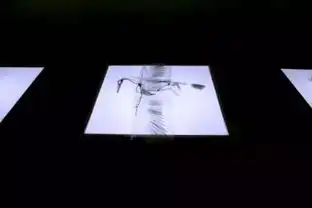 半透明纸上神奇的骨架立体图像艺术捕梦