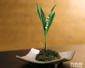 图北京海淀区绿植租赁公司北京鲜花绿植