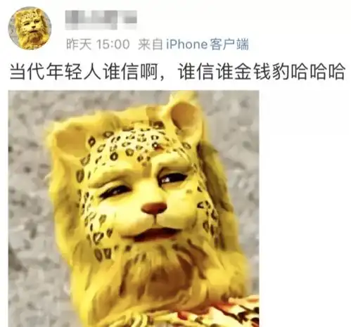 一夜之间,全网都在发金钱豹,到底是个什么梗