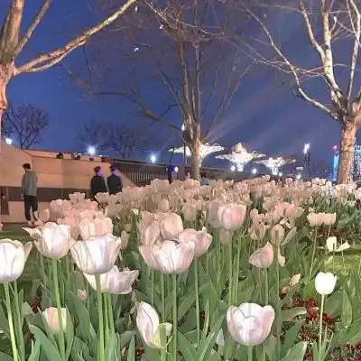 顾姸妡唯美背景图你收到了心风景静物头像我要个性网
