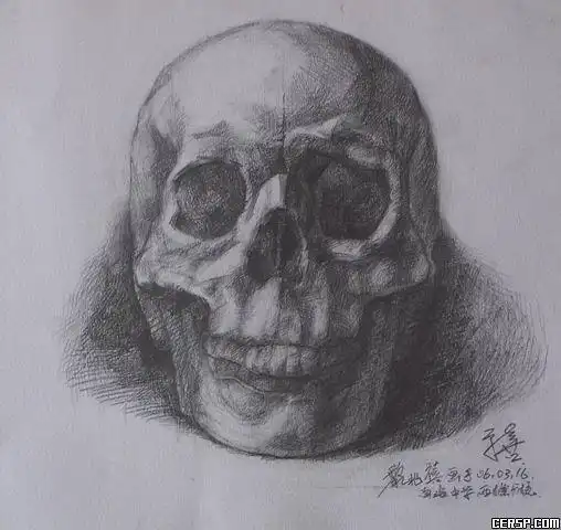 各种素描头骨图片
