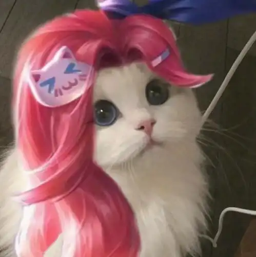 王者荣耀接头小猫咪头像03