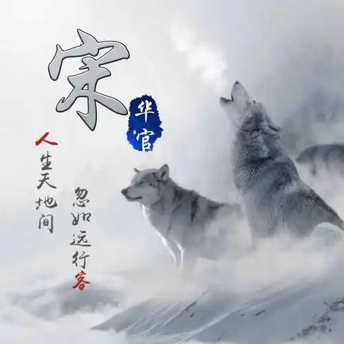 专属姓氏头像,你要的风格都有,姓名专属头像来者不拒
