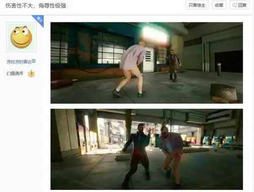 伤害不大,侮辱性极强,只因小丑竟是我自己