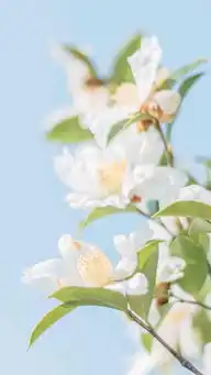 道哥论金怎么才能做好交易