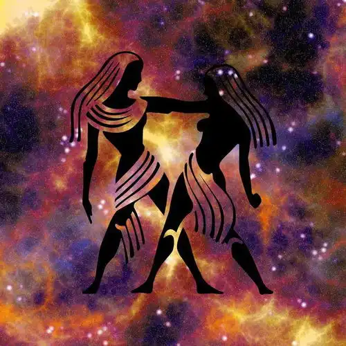 1月6日星座运势小小象征蕴含大大意义