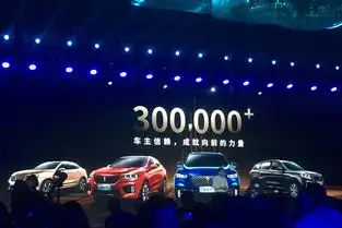 wey品牌三周年之夜车主服务升级2025年销达30万台