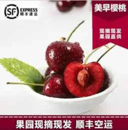 图片,海量精选高清图片库樱桃果超